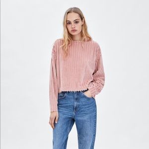 Sweater / Sweatshirt